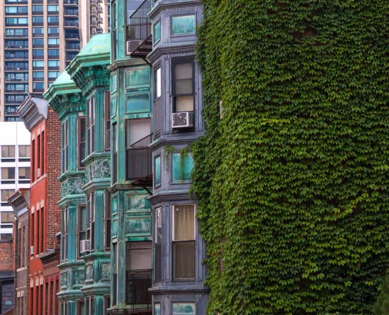 Boston Homes